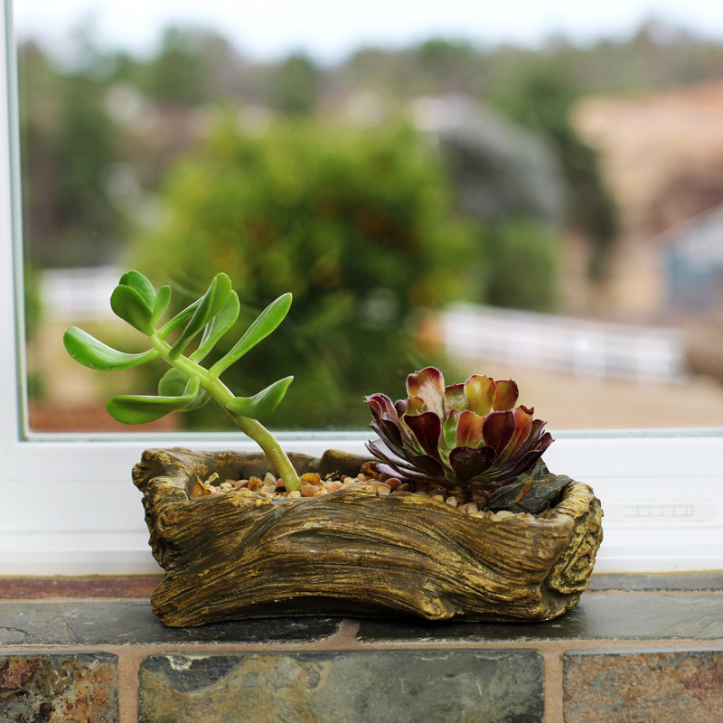 Loon Peak® Keithley Ceramic Statue Planter | Wayfair